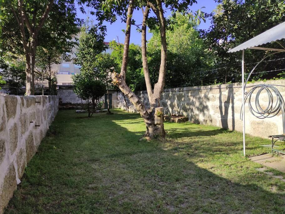 Alvares Cabral Apartamento C Apartment Porto Luaran gambar